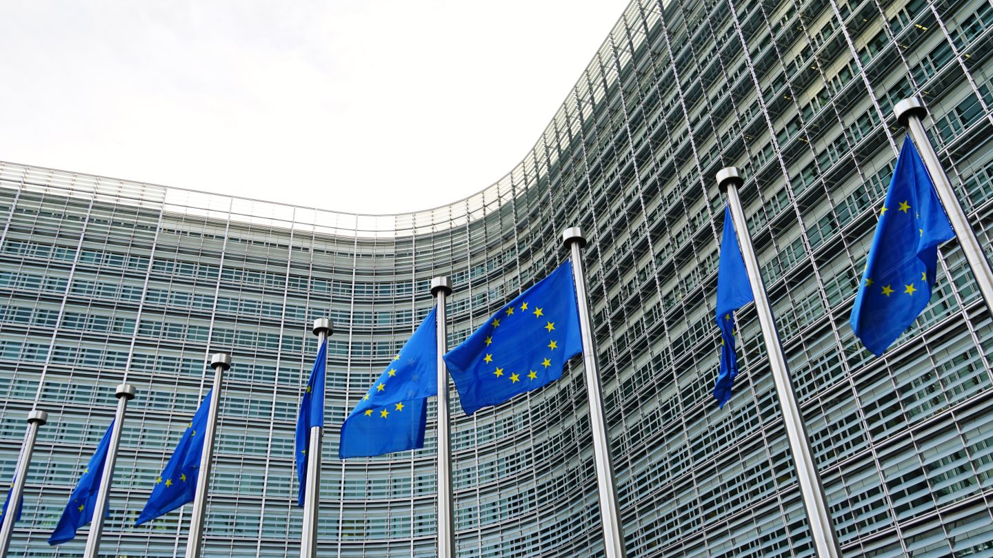 EU guidance sets price undertaking route for Chinese EV imports 