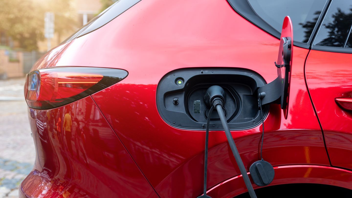 Germany to roll out €3bn EV subsidy scheme without origin restrictions – report